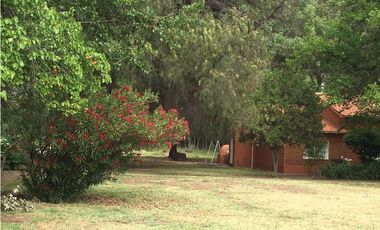 Interesante Finca En Venta con hermosa casa-San Rafael Mendoza - Colonia Elena