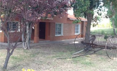 Interesante Finca En Venta con hermosa casa-San Rafael Mendoza - Colonia Elena