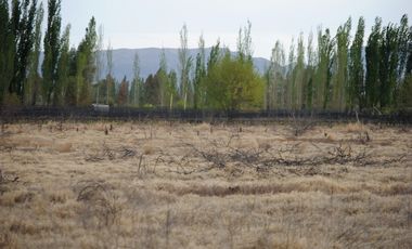 Finca/terreno de 9 Hectáreas En Venta - Rama Caida