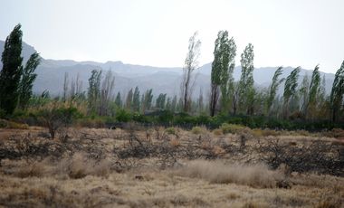Finca/terreno de 9 Hectáreas En Venta - Rama Caida