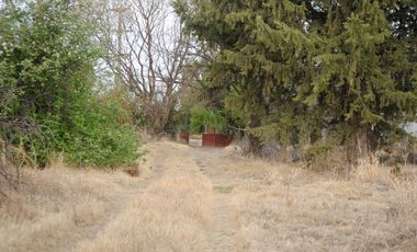 Finca/terreno de 9 Hectáreas En Venta - Rama Caida