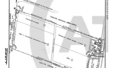 Finca/terreno de 9 Hectáreas En Venta - Rama Caida
