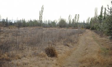 Finca/terreno de 9 Hectáreas En Venta - Rama Caida