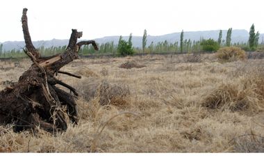 Finca/terreno de 9 Hectáreas En Venta - Rama Caida