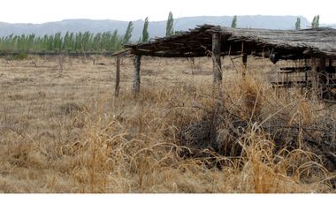 Finca/terreno de 9 Hectáreas En Venta - Rama Caida