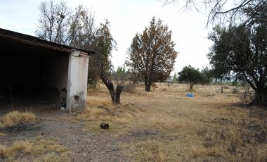 Finca/terreno de 9 Hectáreas En Venta - Rama Caida