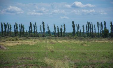 Terreno En Venta San Rafael Mendoza