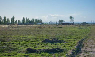 Terreno En Venta San Rafael Mendoza