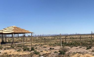 Loteo San Rafael Mendoza