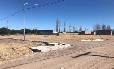 Lote En Venta San Rafael Mendoza