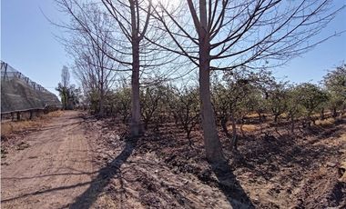 Finca Con Producción En Venta  - Rama Caída