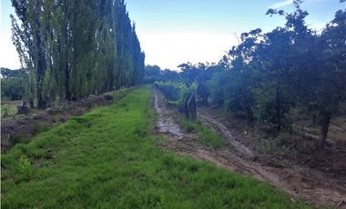 Finca Con Producción En Venta  - Rama Caída