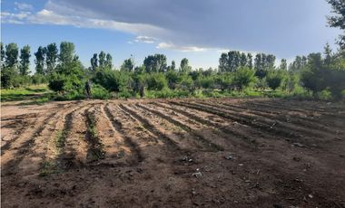 Finca Con Producción En Venta  - Rama Caída