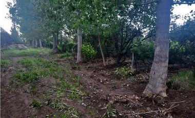 Finca Con Producción En Venta  - Rama Caída