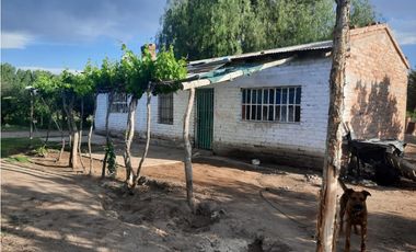 Finca Con Producción En Venta  - Rama Caída