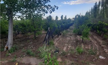 Finca Con Producción En Venta  - Rama Caída