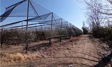 Finca Con Producción En Venta  - Rama Caída