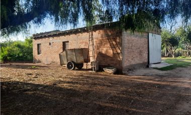 Finca Con Producción En Venta  - Rama Caída