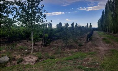 Finca Con Producción En Venta  - Rama Caída