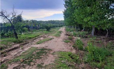 Finca Con Producción En Venta  - Rama Caída