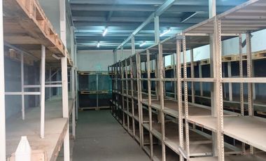 Galpón en dos plantas sobre lote de 10x30, Parque Avellaneda.