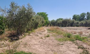 OPORTUNIDAD Terreno / Lote en venta de 36739m2 ubicado en Coquimbito