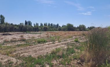 OPORTUNIDAD Terreno / Lote en venta de 36739m2 ubicado en Coquimbito