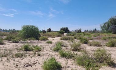 OPORTUNIDAD Terreno / Lote en venta de 36739m2 ubicado en Coquimbito