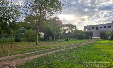 Casas con amplio lote, Ferrari entre Girard y 9 de Mayo, Colón.