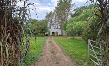 Casas con amplio lote, Ferrari entre Girard y 9 de Mayo, Colón.