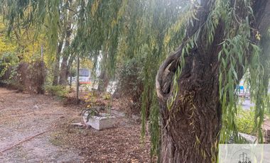 Departamento en venta de 9 dormitorios c/ cochera en Plottier