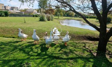 Casa en venta de 3 dormitorios en Obra. Ideal inversionistas! Santa Elena. Pilar