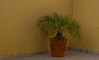 PH en venta en La Plata