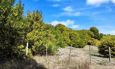 LOTE MULTIFAMILIAR / HOTELERO DE 900 M2 - Las Gaviotas | Cod.0700 |