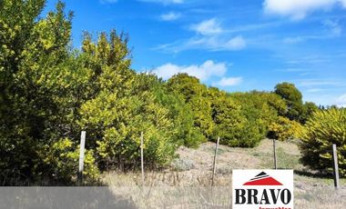 LOTE MULTIFAMILIAR / HOTELERO DE 900 M2 - Las Gaviotas | Cod.0700 |