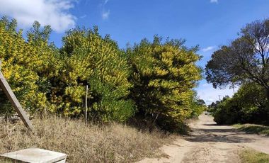 LOTE MULTIFAMILIAR / HOTELERO DE 900 M2 - Las Gaviotas | Cod.0700 |