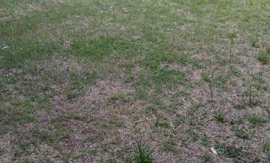 00201 Casa en alquiler de 2 dormitorios c/ cochera en Villa Cura Brochero