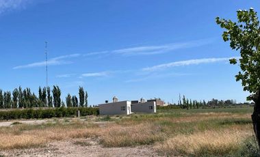 En venta Complejo con 3 cabañas y plant. alfa, Cuadro Benegas San Rafael
