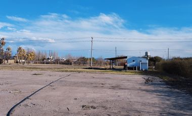 En venta Complejo con 3 cabañas y plant. alfa, Cuadro Benegas San Rafael