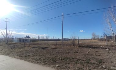 En venta Complejo con 3 cabañas y plant. alfa, Cuadro Benegas San Rafael