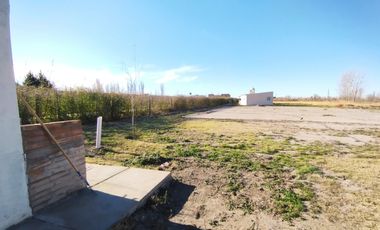 En venta Complejo con 3 cabañas y plant. alfa, Cuadro Benegas San Rafael