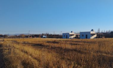 En venta Complejo con 3 cabañas y plant. alfa, Cuadro Benegas San Rafael