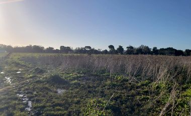 Terreno / Lote en alquiler de 57750m2 ubicado en Parque Palermo