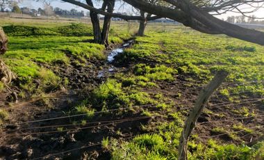 Terreno / Lote en alquiler de 57750m2 ubicado en Parque Palermo