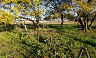 Terreno / Lote en alquiler de 57750m2 ubicado en Parque Palermo