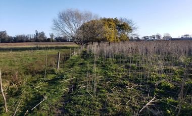 Terreno / Lote en alquiler de 57750m2 ubicado en Parque Palermo