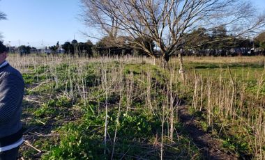 Terreno / Lote en alquiler de 57750m2 ubicado en Parque Palermo