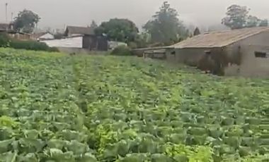 Tanah Di Pangalengan Cocok Untuk Tempat Wisata