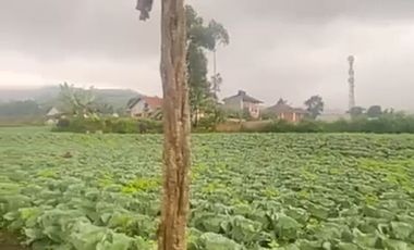 Tanah Di Pangalengan Cocok Untuk Tempat Wisata