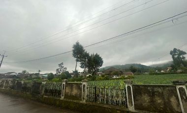 Tanah Di Pangalengan Cocok Untuk Tempat Wisata